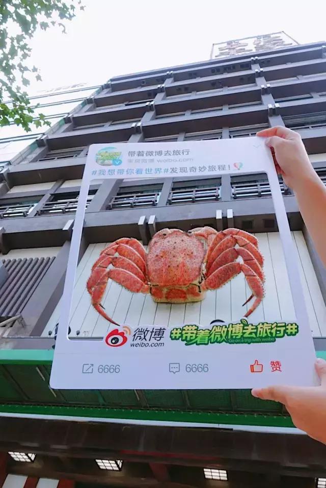 日本夏天治愈系风景北海道,夏天日本北海道之旅