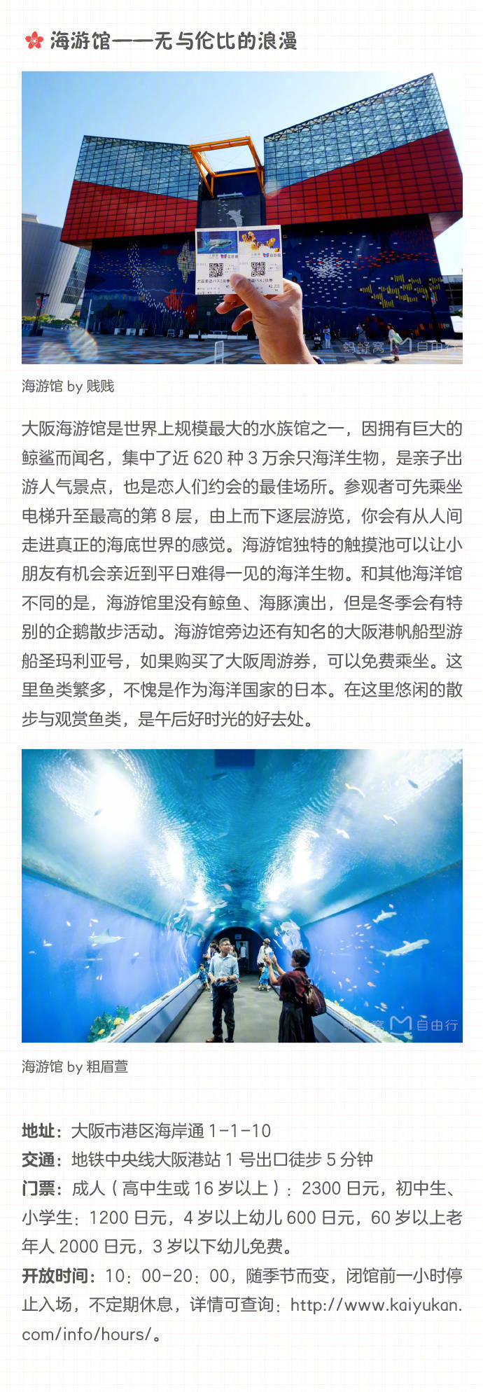 日本大阪旅游攻略视频播放,日本大阪购物全攻略