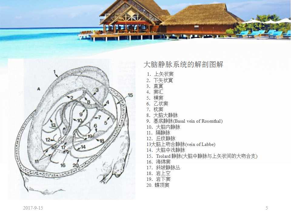 颅内静脉窦血栓形成怎么治疗,颅内静脉窦血栓怎么治疗