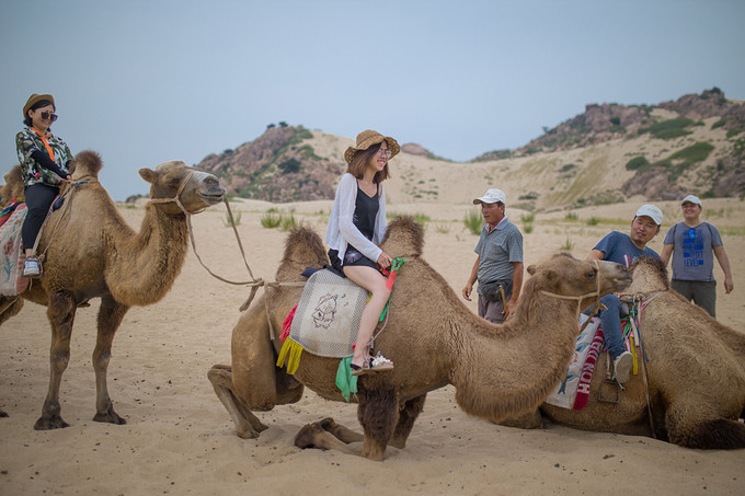 自驾游记初秋内蒙草原风光无限,内蒙大草原之旅自驾游哪里最美