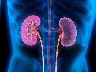 医生多次告诫，所有肾病饮食绝对“禁止”的食物，别再犯傻！