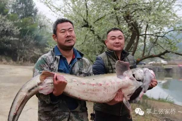 钓了8小时鱼塘老板哭了,黑坑老板被钓鱼人打崩溃