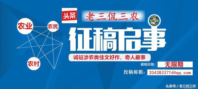 快速回本的十大农村项目,专家分析农村哪些项目最挣钱