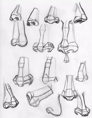 各种鼻子简笔画幼儿,简笔画鼻子的画法