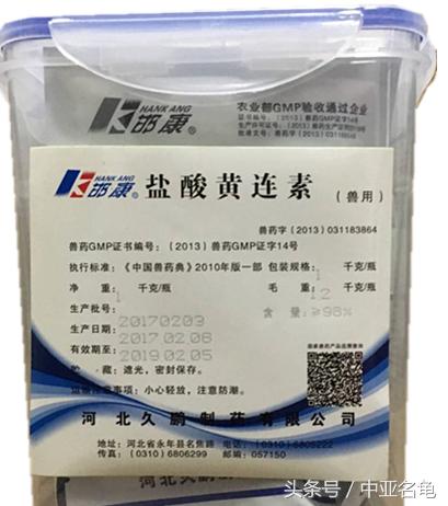 秋天龟龟到家怎么处理,秋季乌龟生病怎么处理