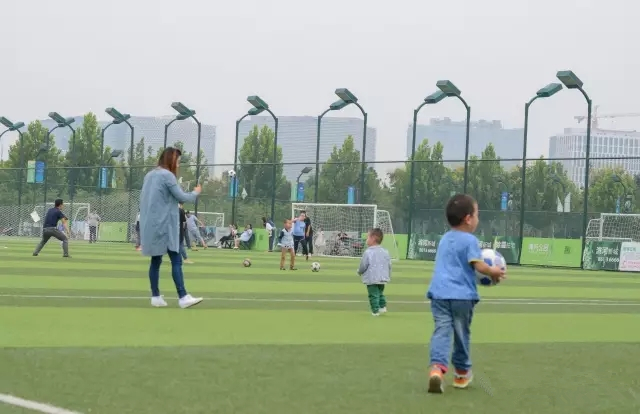 美丽的郑州北龙湖湿地公园,郑州北龙湖湿地公园初冬游记