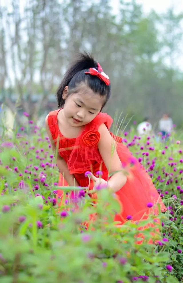 美丽的郑州北龙湖湿地公园,郑州北龙湖湿地公园初冬游记