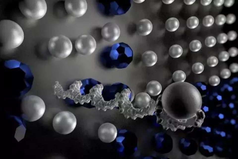 女科学家机器人视频,华裔女科学家加拿大