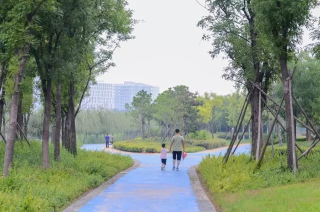 美丽的郑州北龙湖湿地公园,郑州北龙湖湿地公园初冬游记