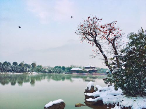 安徽颍上县第一大镇,颍上县皖北第一大县