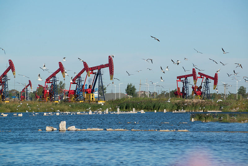 看旅游景点猜中国地名,看城市别称猜地名
