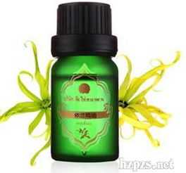 教你认识食用油,教你认识化妆品