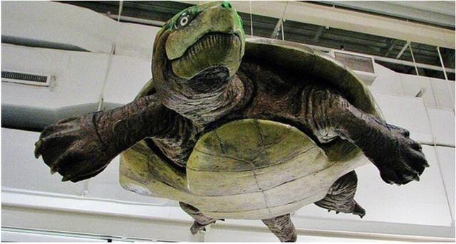 盘点地球真实存在的十大巨兽,地球上曾存在的八大巨兽