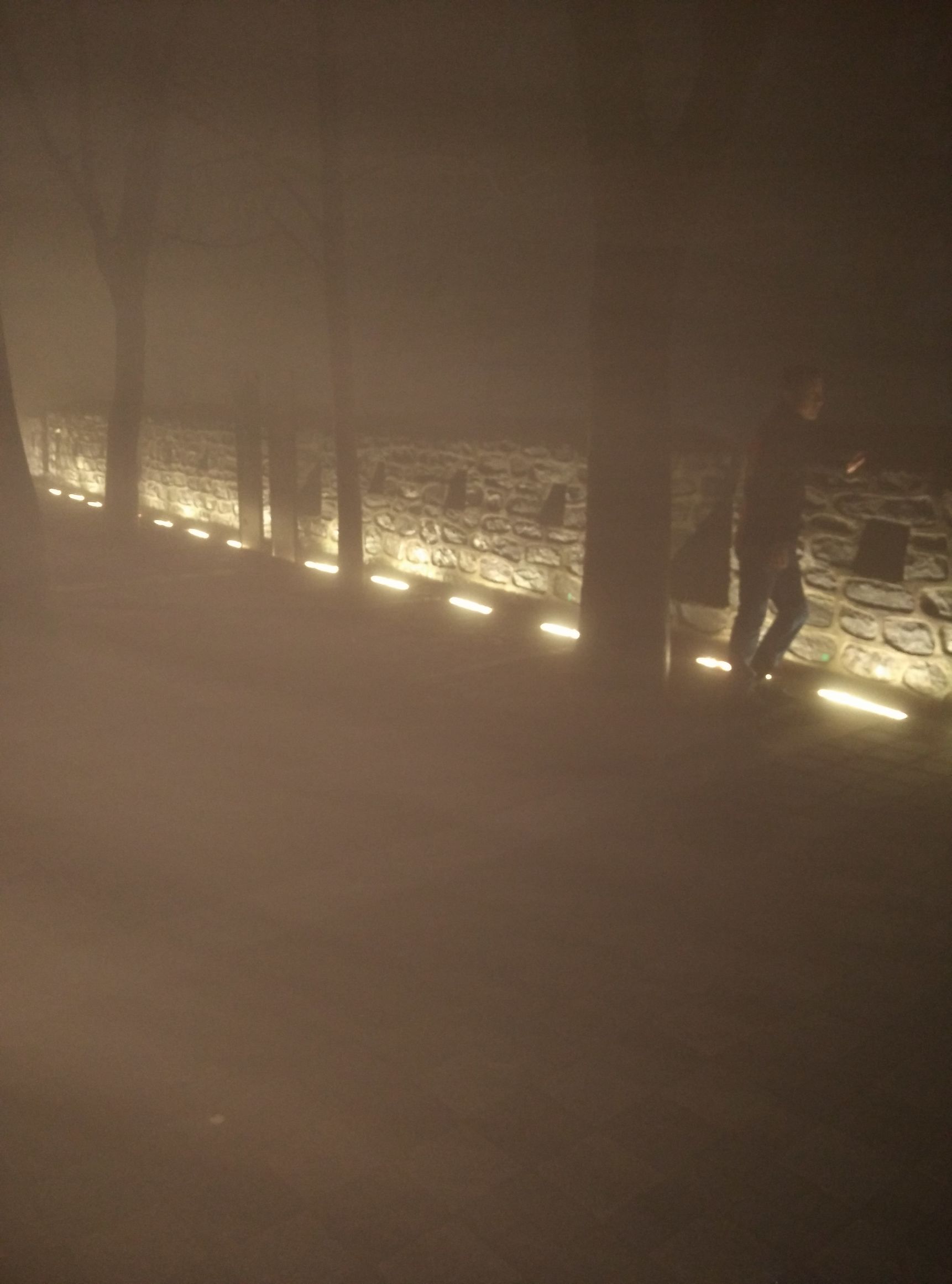 我的韩国旅游纪录片,去韩国打工的真实感受