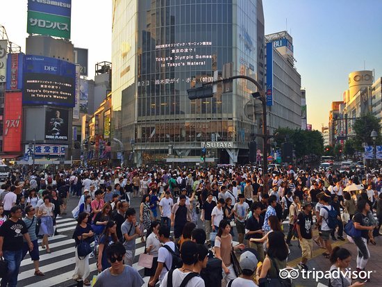 缤纷绚丽的视频,色彩斑斓的世界美景