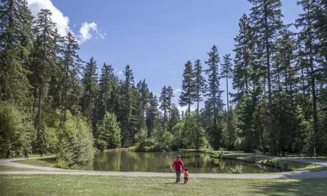 在加拿大可以代购什么,加拿大比较好的东西