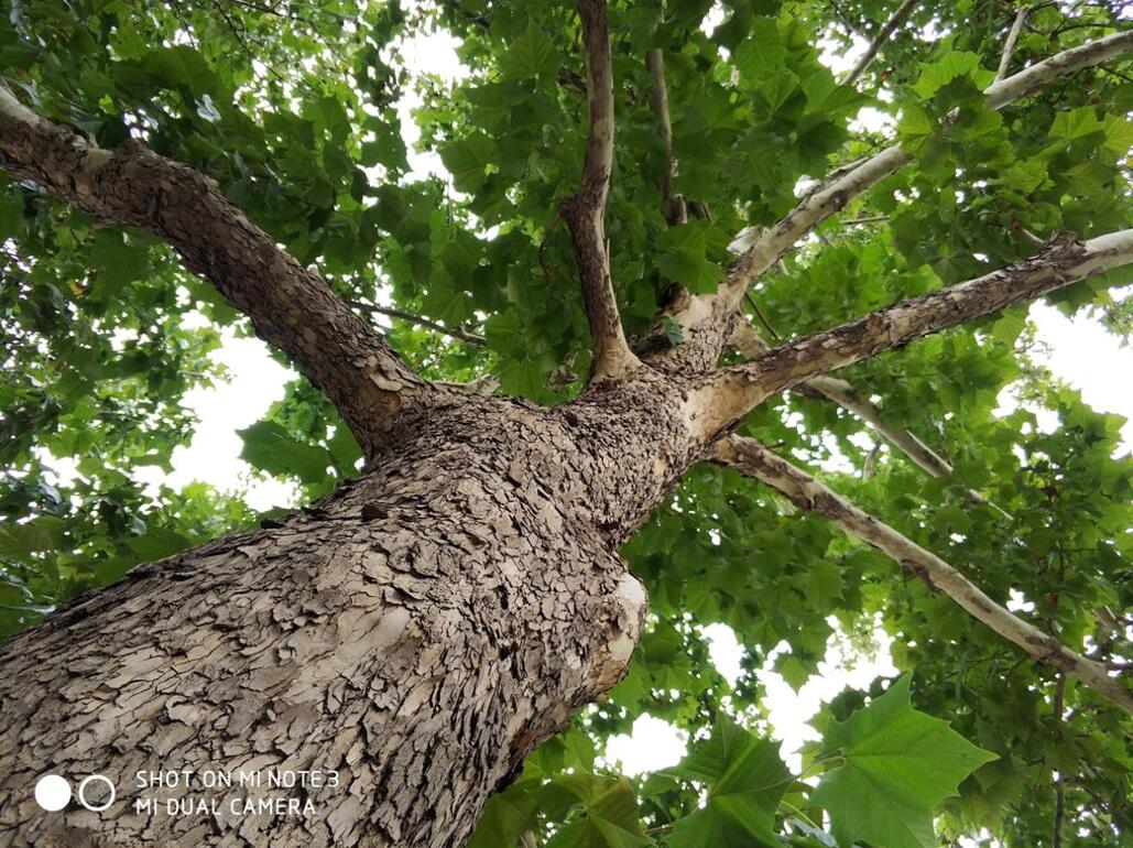 小米note3和小米6哪台更强,小米note3测评换屏幕