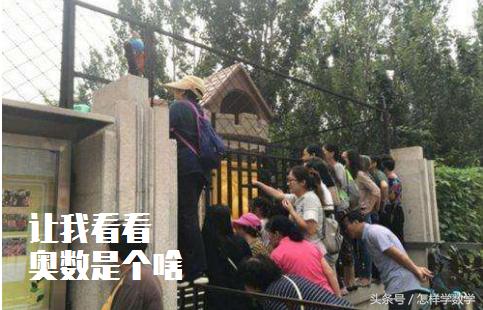 小学一般几年级开始学奥数比较好,小学奥数在几年级学习比较合适