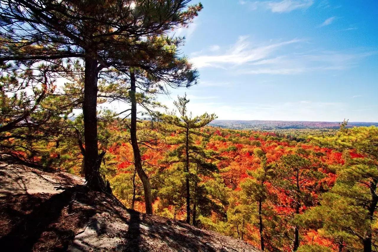 2018加拿大签证新政策是什么样的,2017加拿大签证攻略