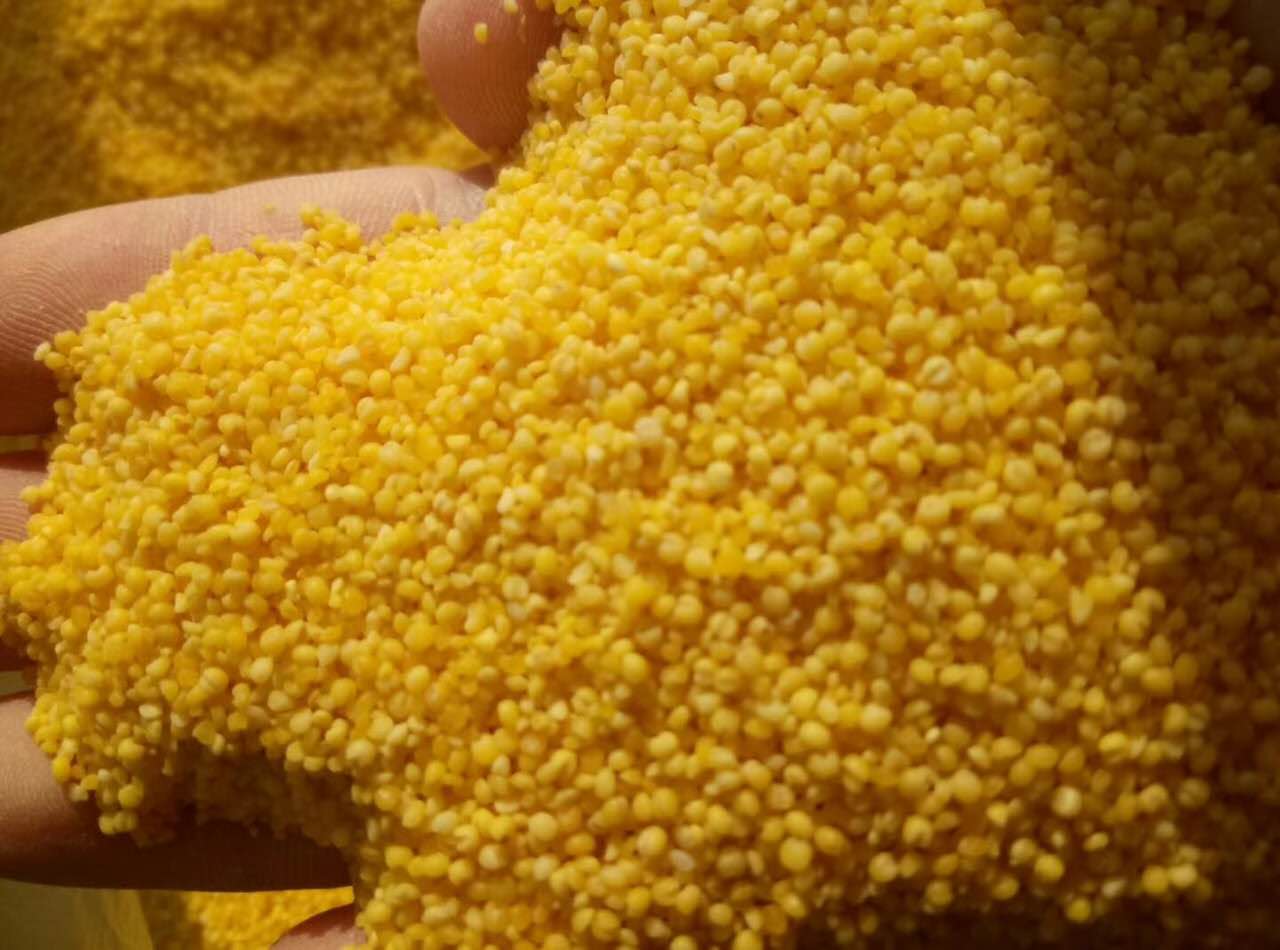 怎么熬小米粥商用,专门讨教了煮小米粥的秘诀