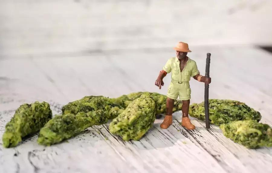 香菜零食,测一测吃过的100种零食