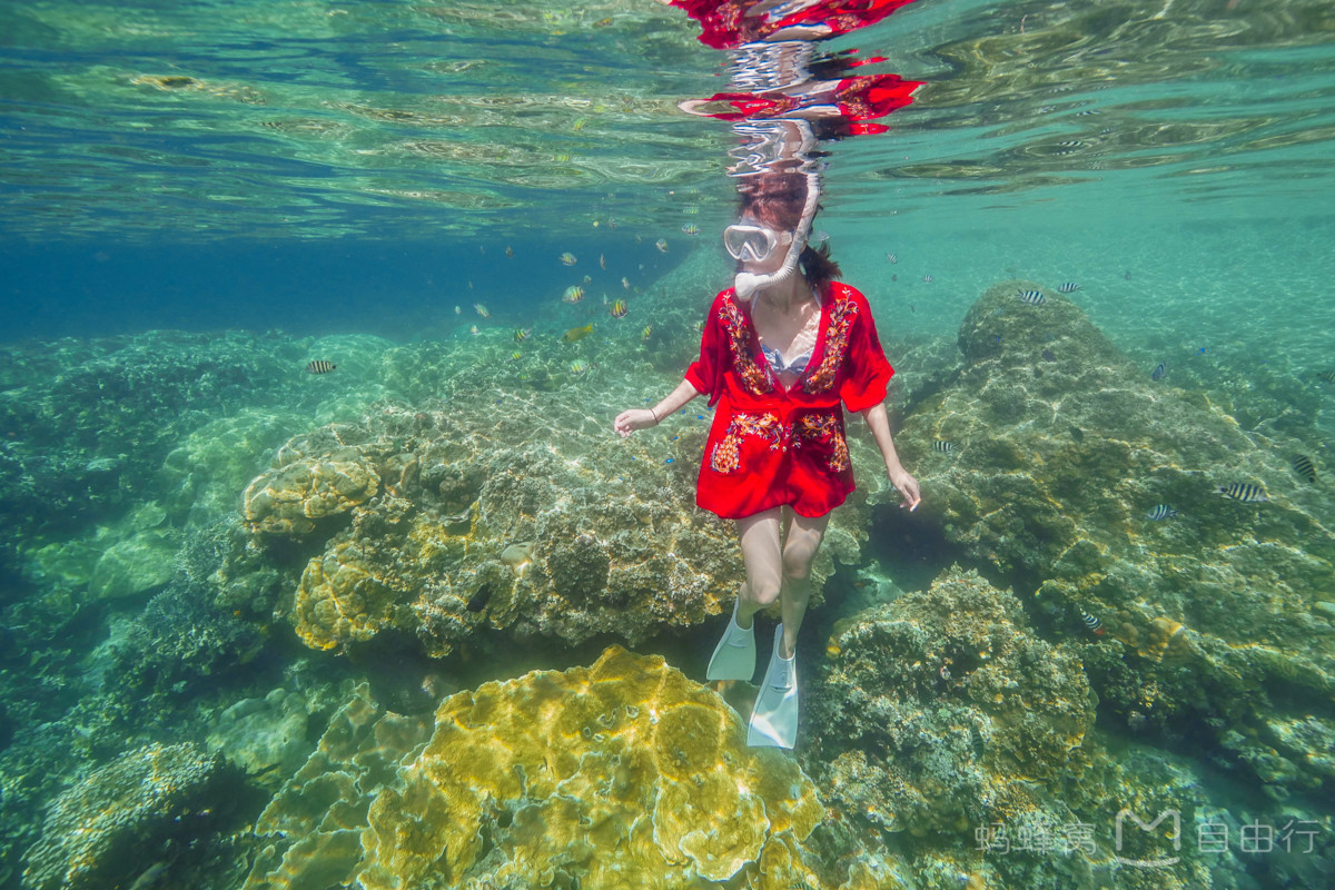 帕劳出海攻略,帕劳旅行攻略图文大全