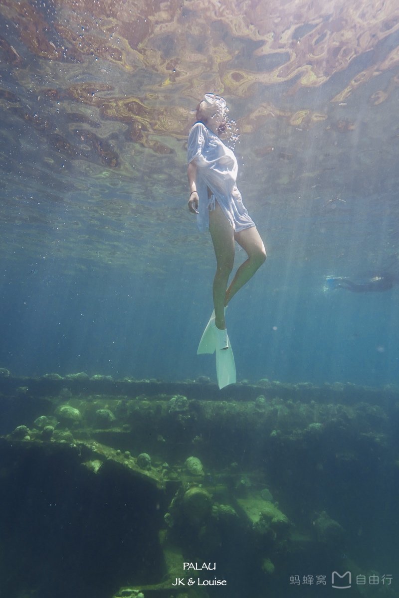 帕劳出海环岛旅游攻略,帕劳旅行攻略大全最新