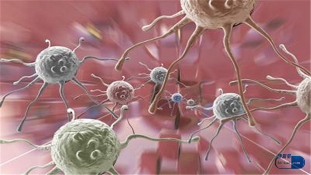 恶性肿瘤吃转移因子有好处吗,肿瘤患者可以吃转移因子吗