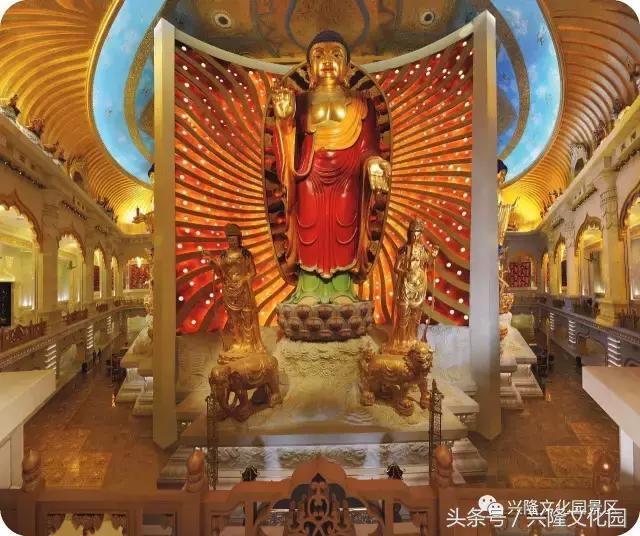 我找到了我找不到了,我找到了我的白月光什么意思