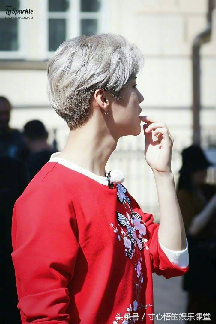 鹿晗q版图片卷发,鹿晗的q版萌图片