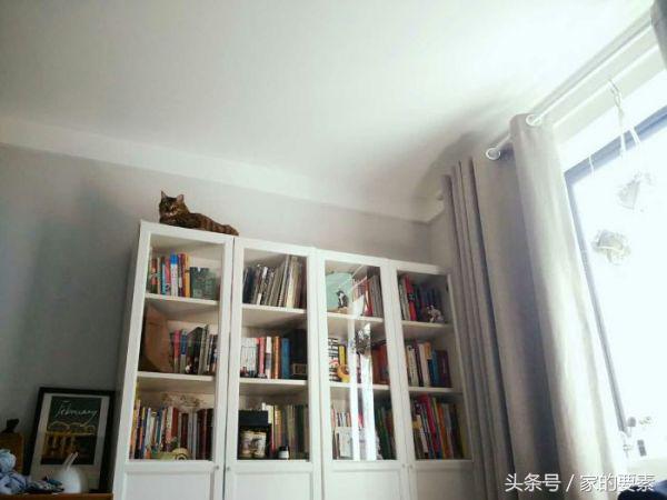 60平小家过出顶级的幸福感,唐长老和玉兔精的没羞没臊日常