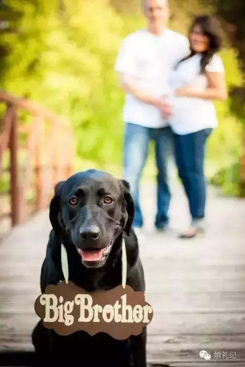 怀孕了还能跟领导谈涨工资么,怀孕怎么发朋友圈让领导知道