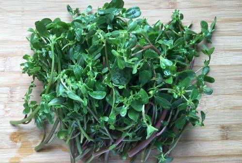 脾胃湿热粉刺怎么治,脾胃不好长粉刺怎么调理