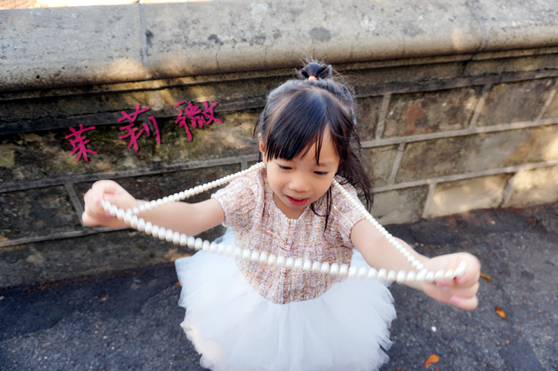 买香奈儿还是圣罗兰,买香奈儿希尔顿还是买dior戴妃