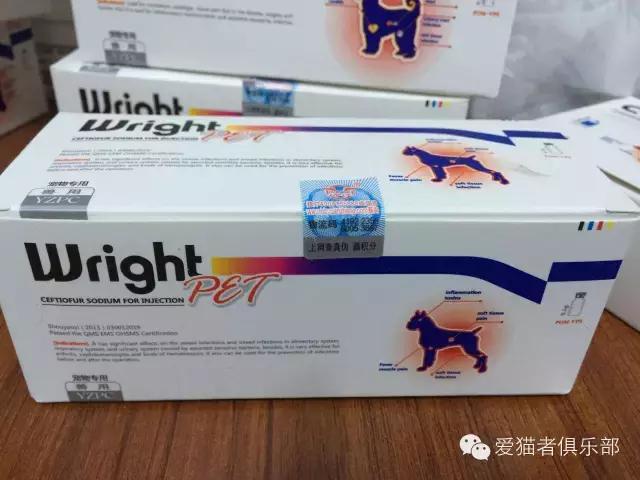 猫咪药品推荐,猫咪平替药品