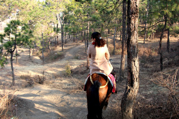 云南丽江香格里拉大理六日游,云南丽江大理香格里拉六日游