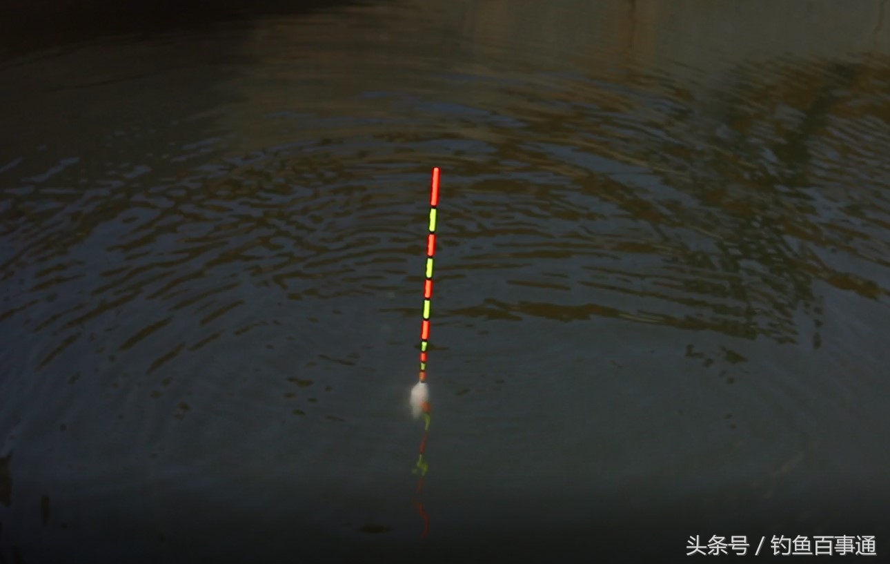 浮漂小凤仙野钓,川泽浮漂与小凤仙浮漂质量对比