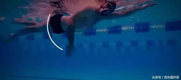 自由泳划水动作练习讲解,一看就会的自由泳划水的标准技巧