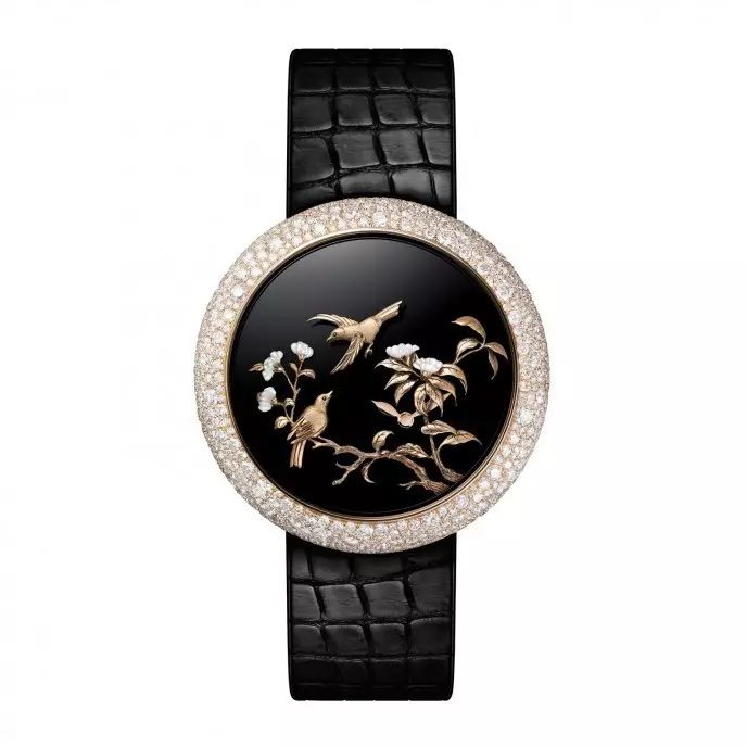 腕上鸟类图鉴｜谁是颜值之巅？