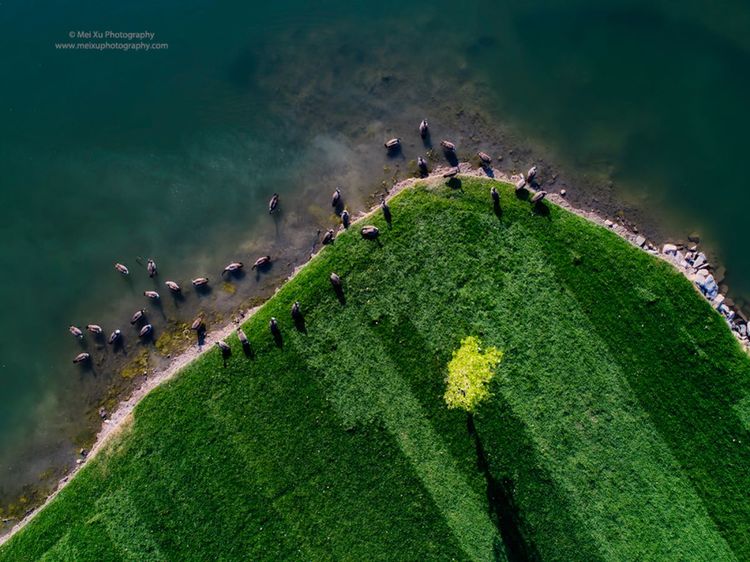 就让我随你去,去俯瞰多姿多彩的大千世界