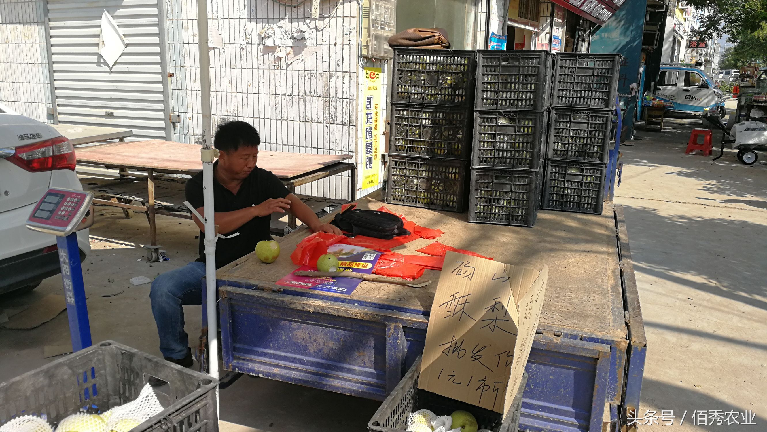 农村的聪明人，低价卖水果，为何还能赚大钱？