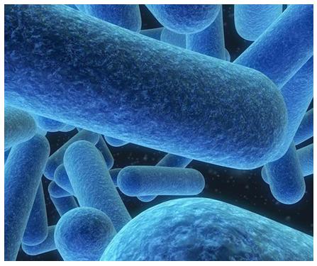 妇科痒一招就消,妇科里面痒怎么办