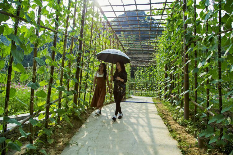 从化莲麻小镇有什么好玩的地方 (从化莲麻小镇景点)