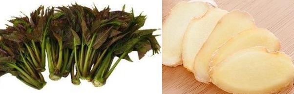 长在树上的蔬菜大全,有没有长在树上的蔬菜