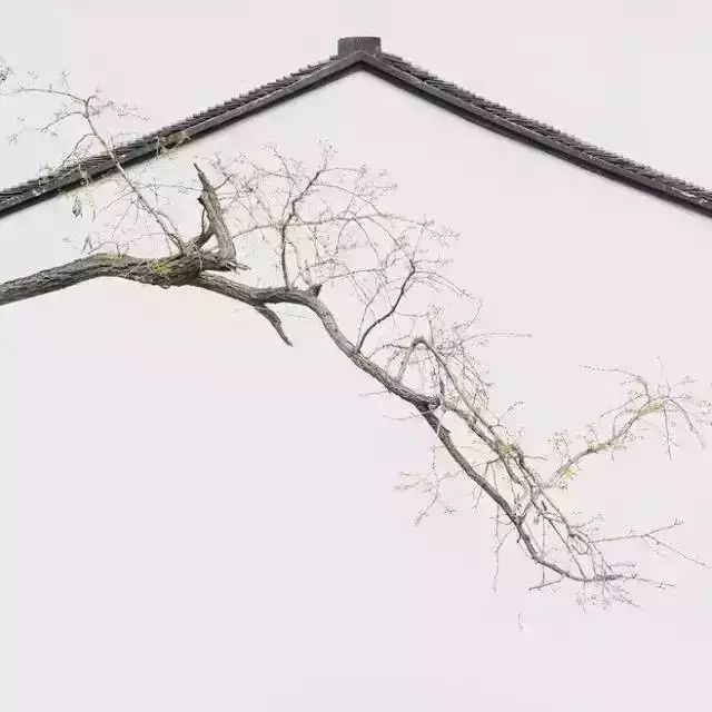 留白的人生会更美好,留白就是允许人生有遗憾