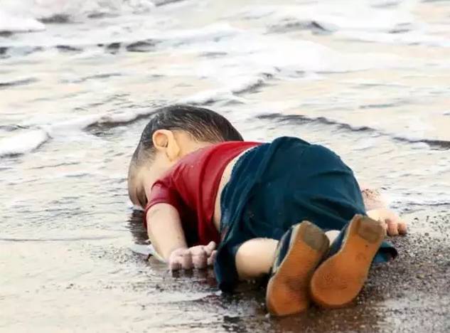 历届奥斯卡最佳摄影奖得主,奥斯卡摄影师奖