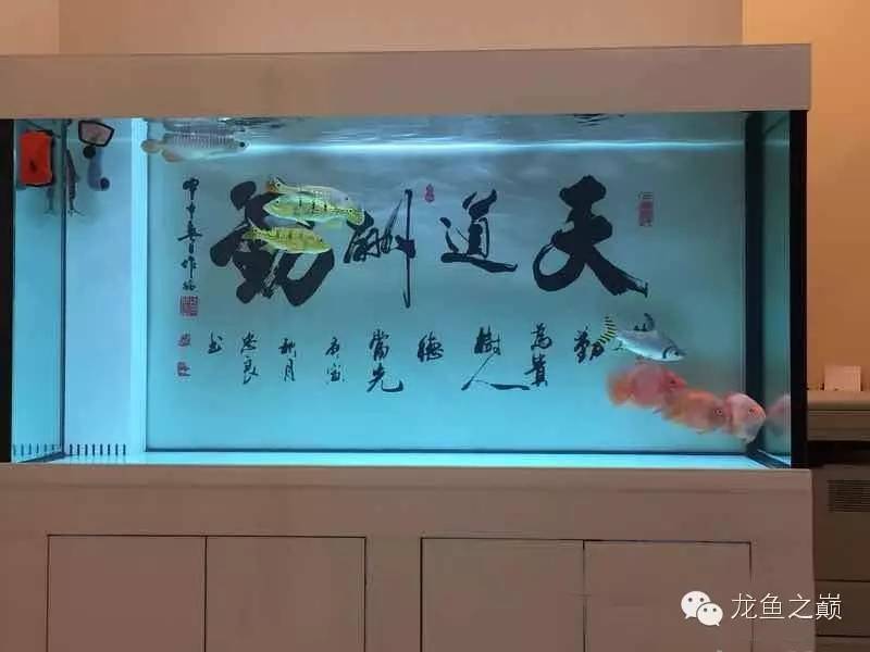 知我者谓我心忧是什么意思呢,知我者谓我心忧图片配图