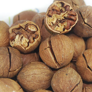 一种从山沟里走出来的果实,山沟里的果实