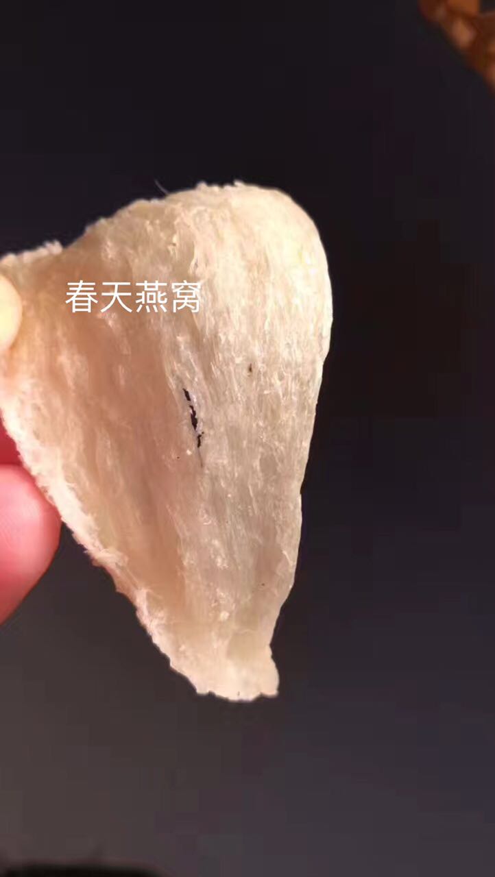 燕窝知识及鉴别哪种燕窝最好,燕窝最简单的辨别方法