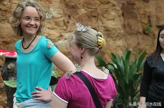 日照沂水三日游,苏杭三日游沂水团价